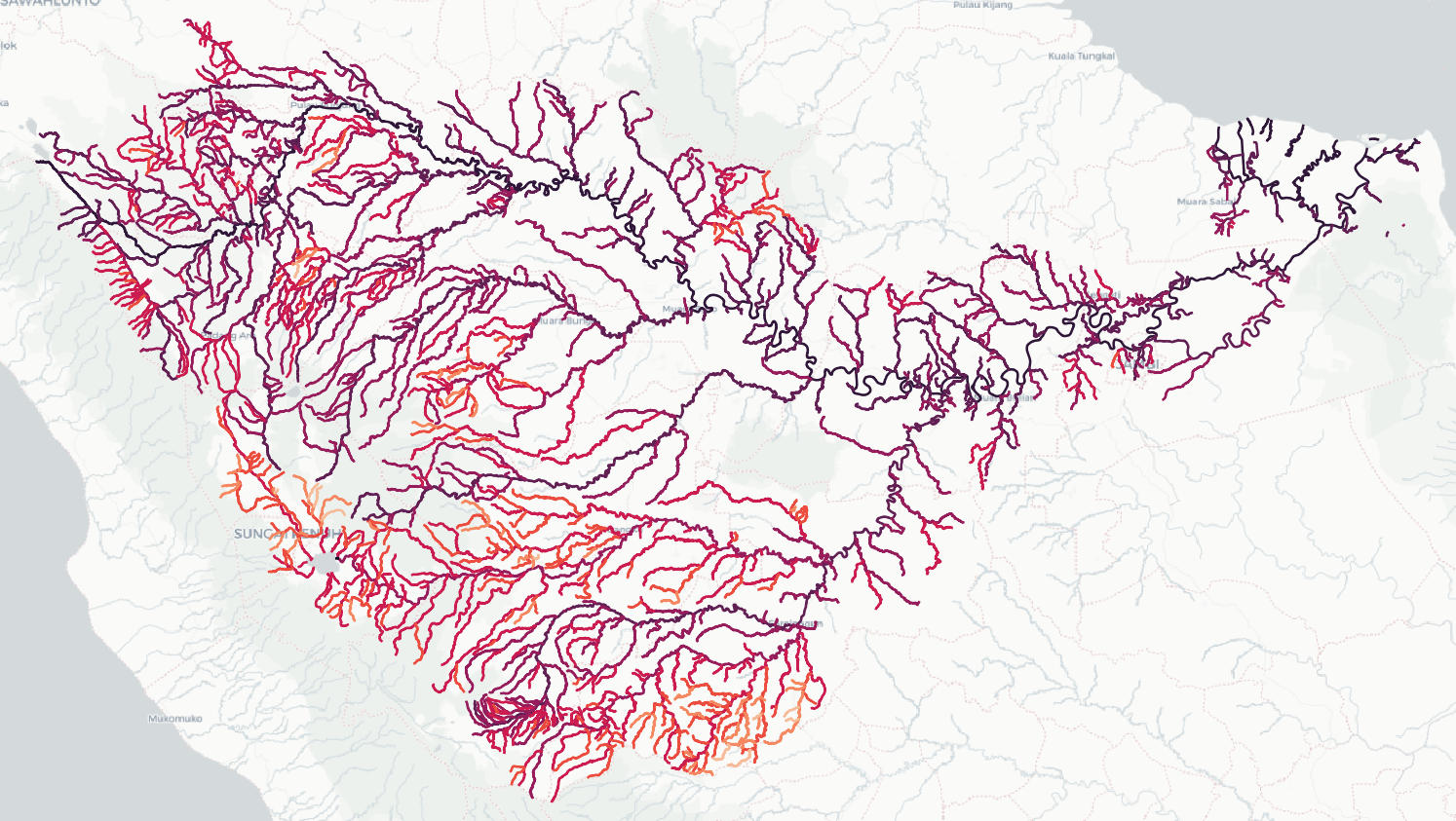 Batang Hari watershed with ranked tributaries — thick lines indicate higher-order rivers, thin lines smaller tributaries, illustrating the scale and complexity of the basin monitoring challenge
